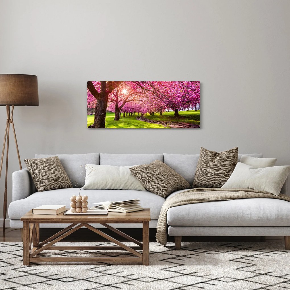 Tablou - Cireși înfloriți, Hurd Park, Dover, New Jersey (120x50 cm)