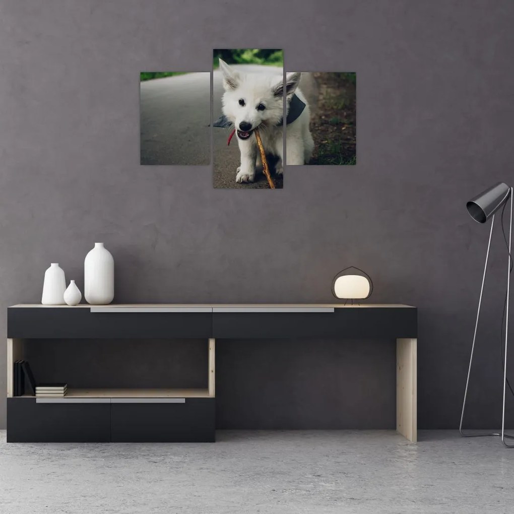 Tablou cu câinele alb (90x60 cm)