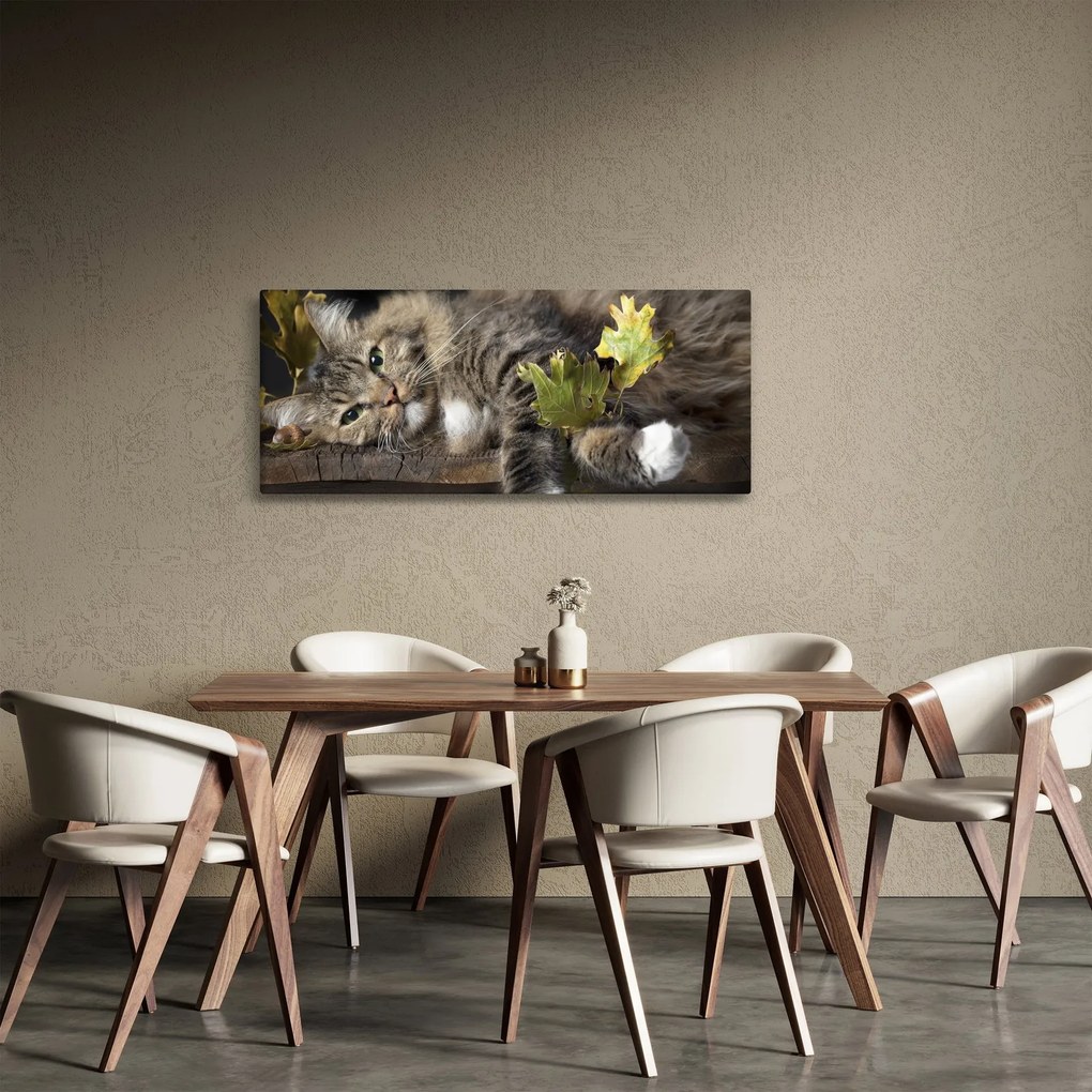 Tablou - Pisica mincinoasă (120x50 cm)