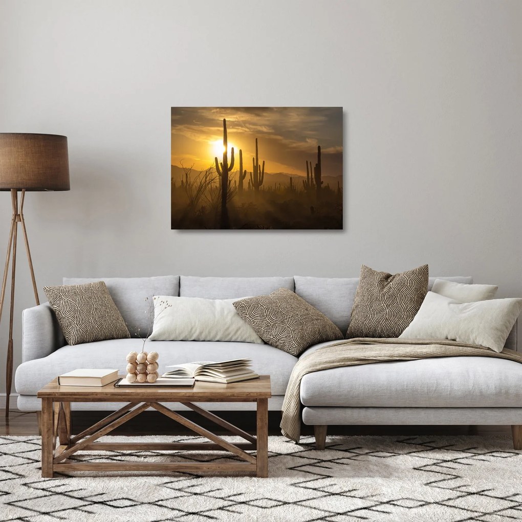 Tablou pe sticlă - Cactuși Saguaro (70x50 cm)