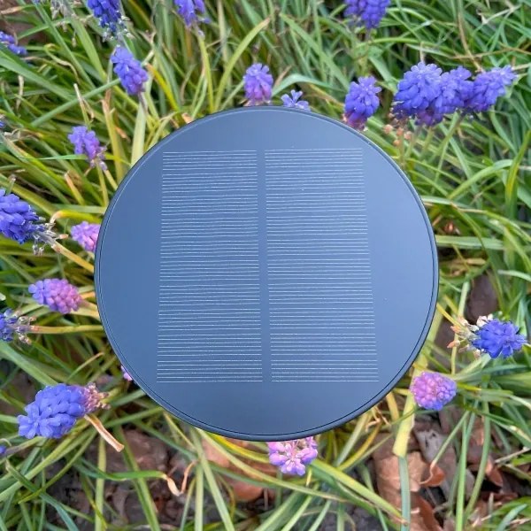 Lampă LED solară Zuma Line DT33611 CARLI LED/2W/2000 mAh IP44 negru