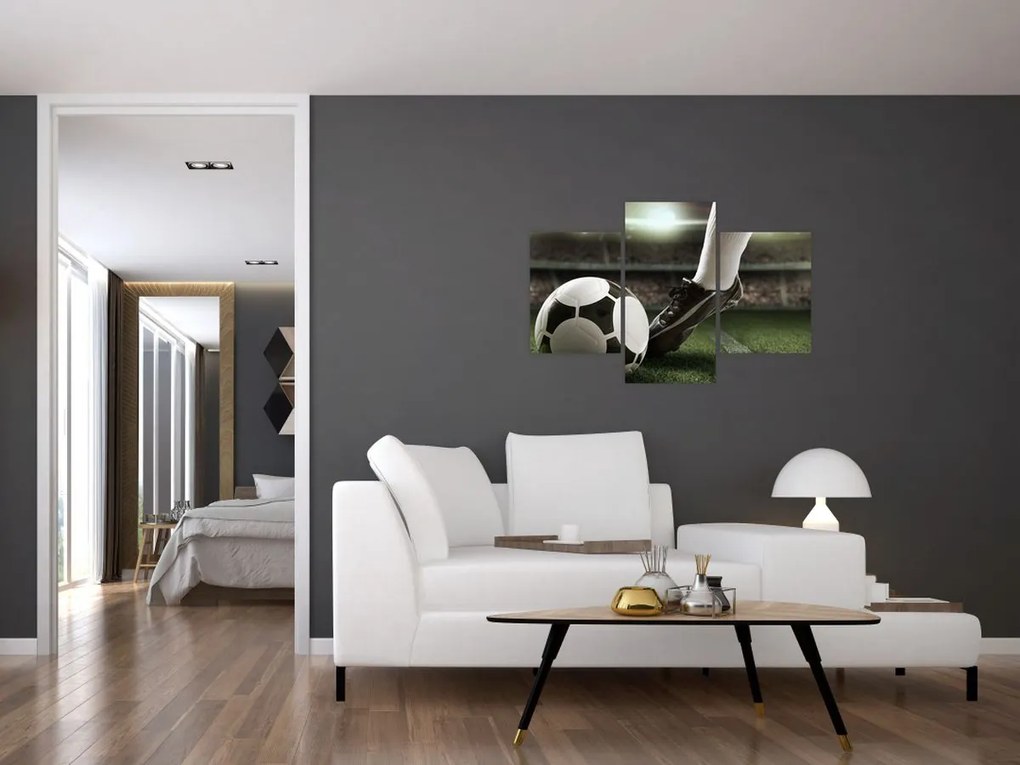 Tablou - Minge de fotbal (90x60 cm)