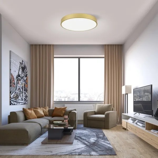 Immax NEO 07293L - Plafonieră LED+CCT dimmabilă SEMPLICI 60W/230V, Ø 60 cm, cu telecomandă