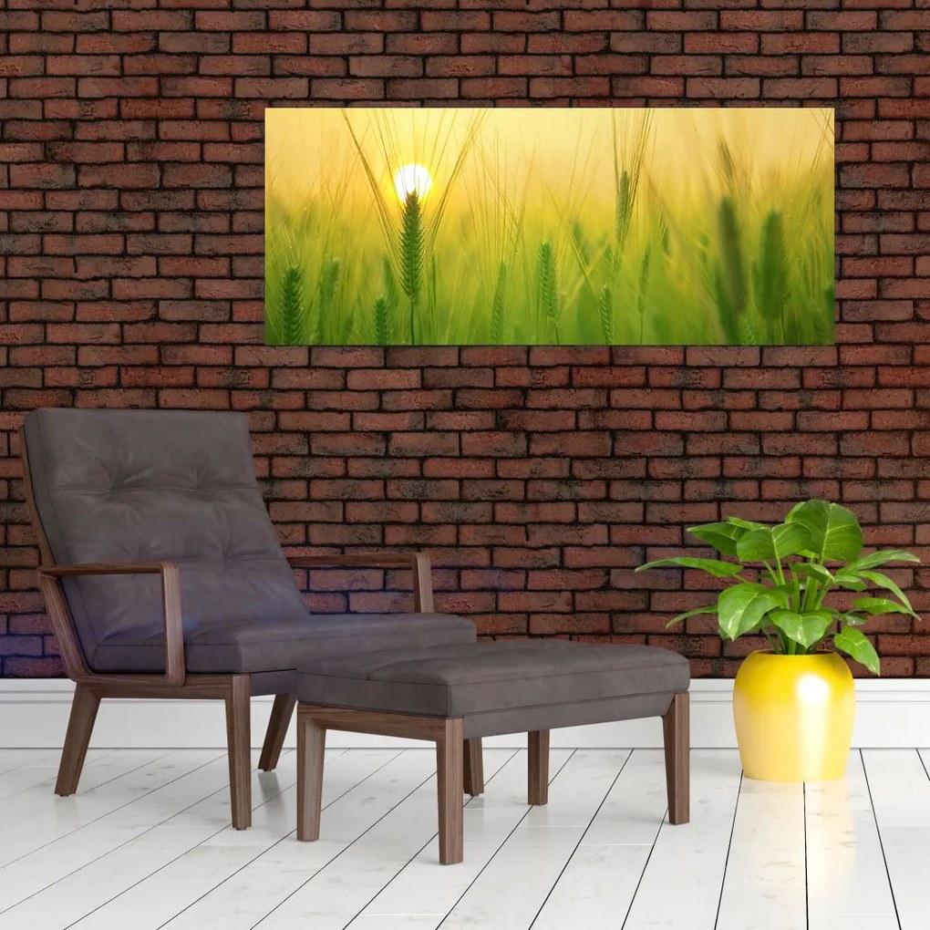 Tablou - Câmp cu cereale (120x50 cm)