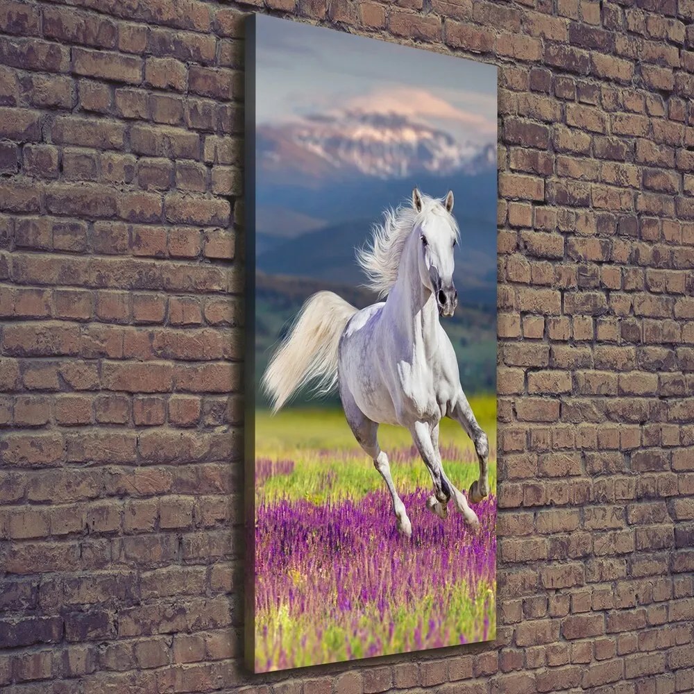 Tablou pe pânză Cal alb în galop