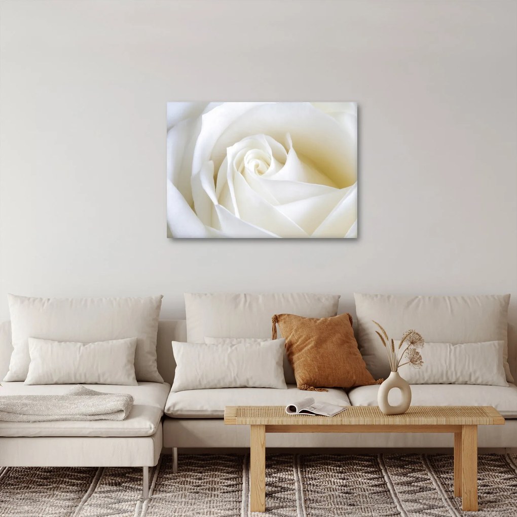 Tablou cu tandafir alb (70x50 cm)