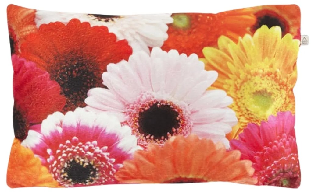 Fata de perna decorativa SAMARA GERBERA 30x50 cm, colorata