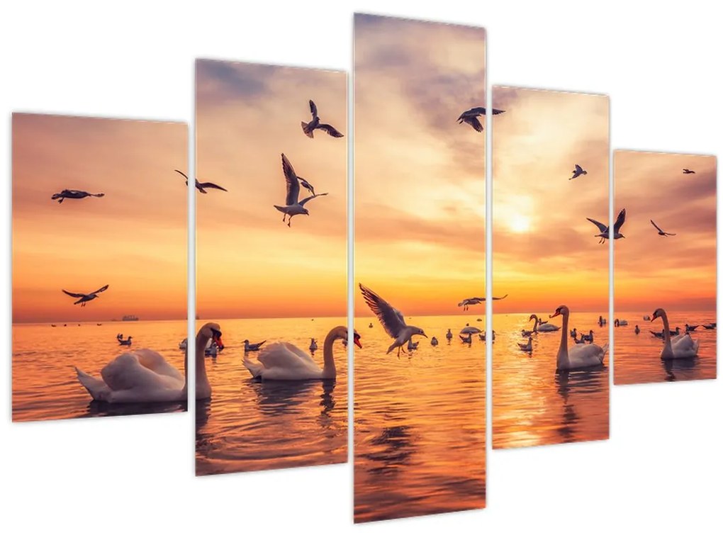 Tablou - Lebedă (150x105 cm)