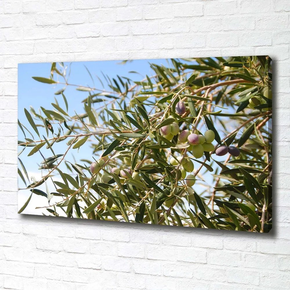Imprimare tablou canvas Oliv