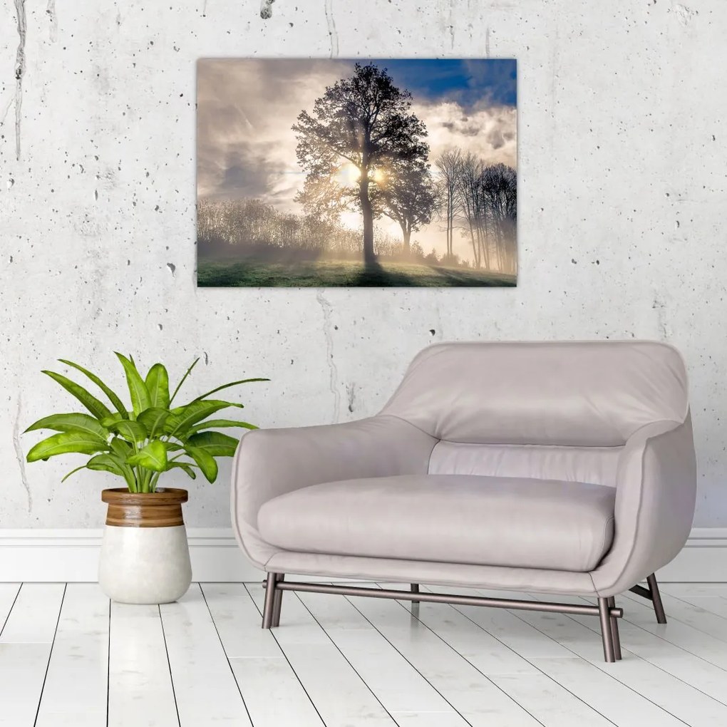 Tablou cu copac în ceață (70x50 cm)