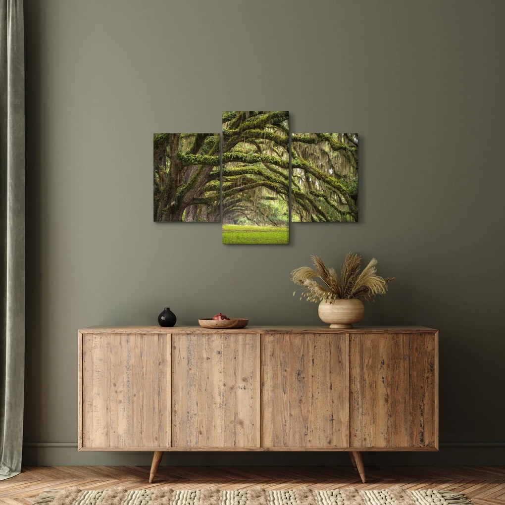 Tablou - Oaks Avenue, Charleston, Carolina de Sud, SUA (90x60 cm)