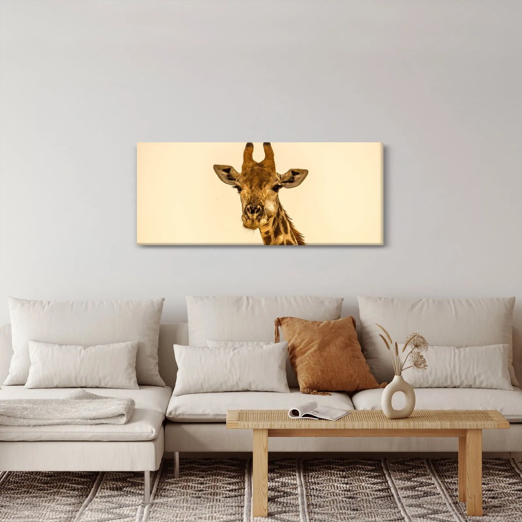 Tablou cu girafe (120x50 cm)
