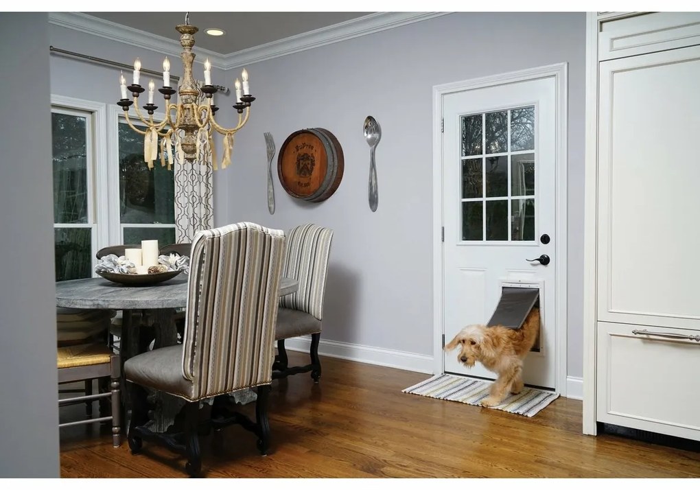 PetSafe® Extreme Weather Door L, L