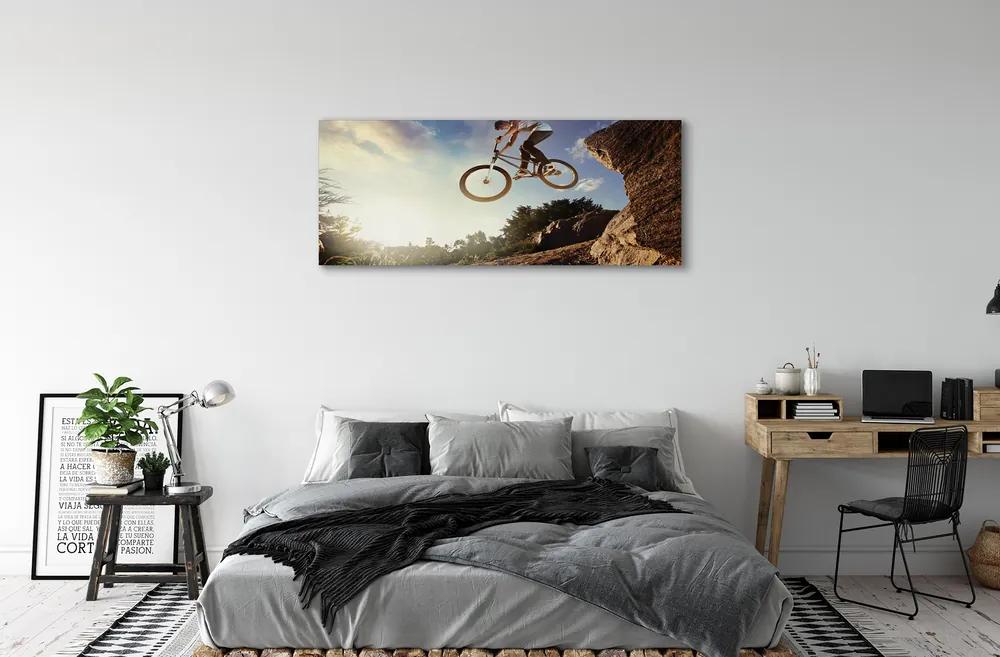 Tablouri canvas Mountain bike nori cer