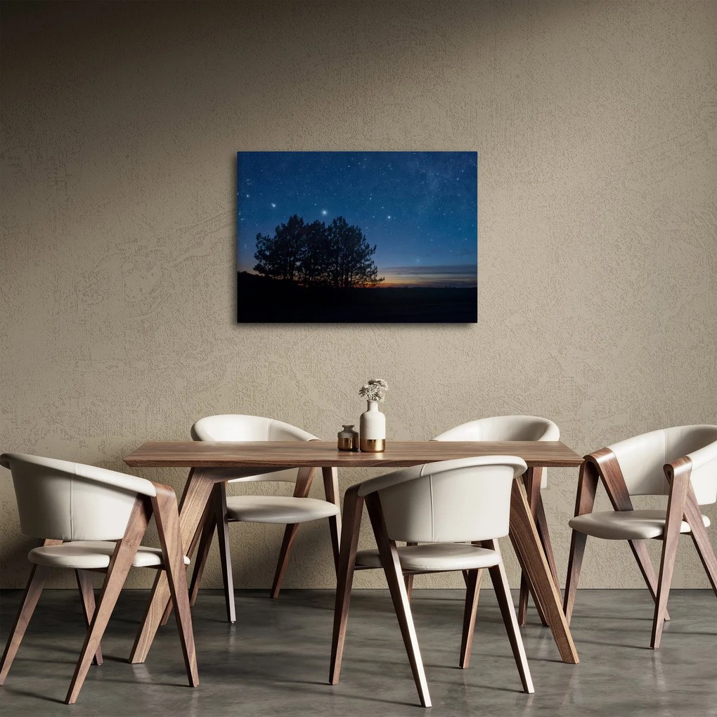 Tablou cu copaci noapte (70x50 cm)