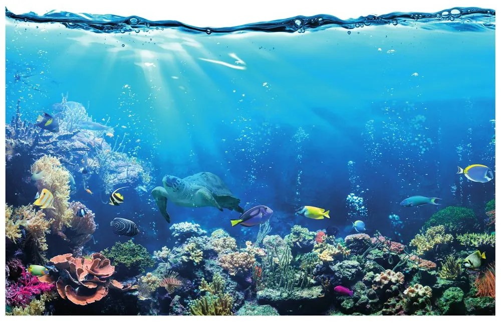 Tapet autoadeziv pești tropicale