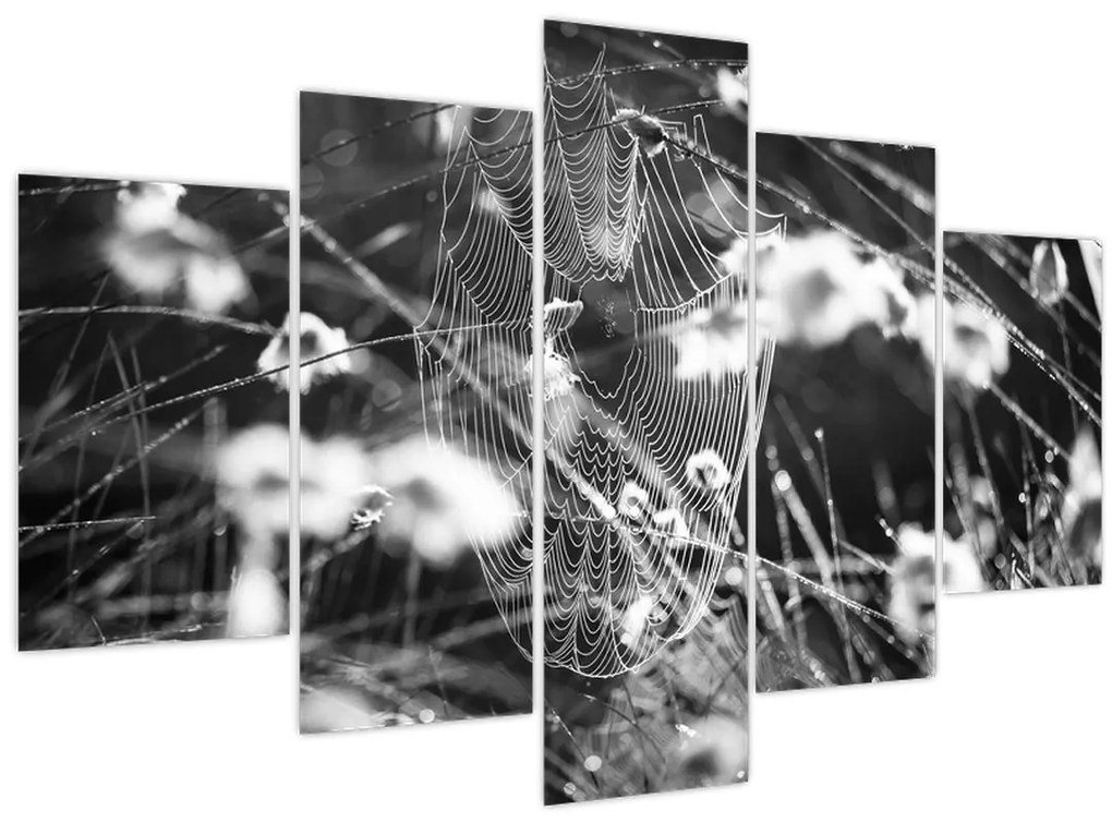 Tablou - Pânza de păianjen în pajiște (150x105 cm)