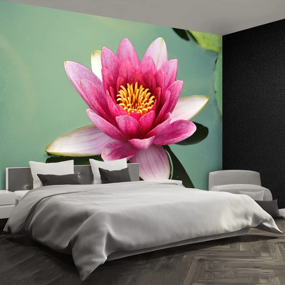 Fototapet Floare de lotus