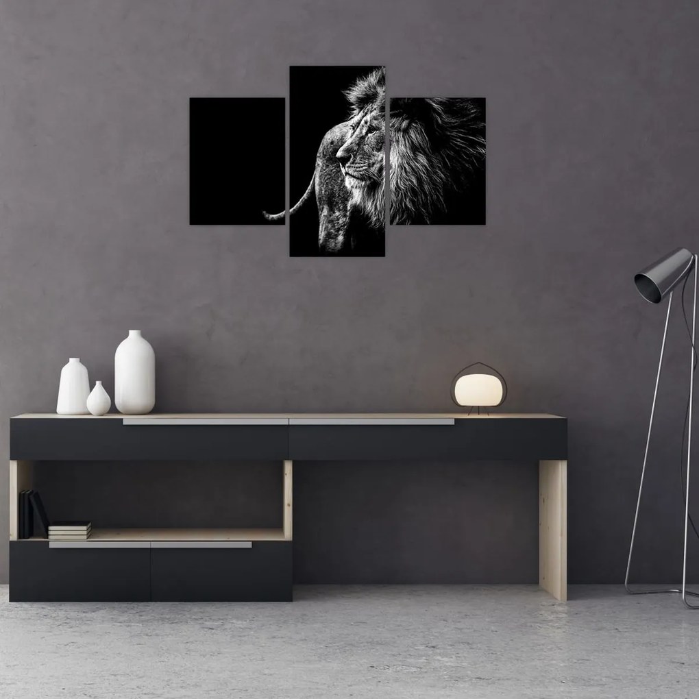 Tablou - Leu (90x60 cm)