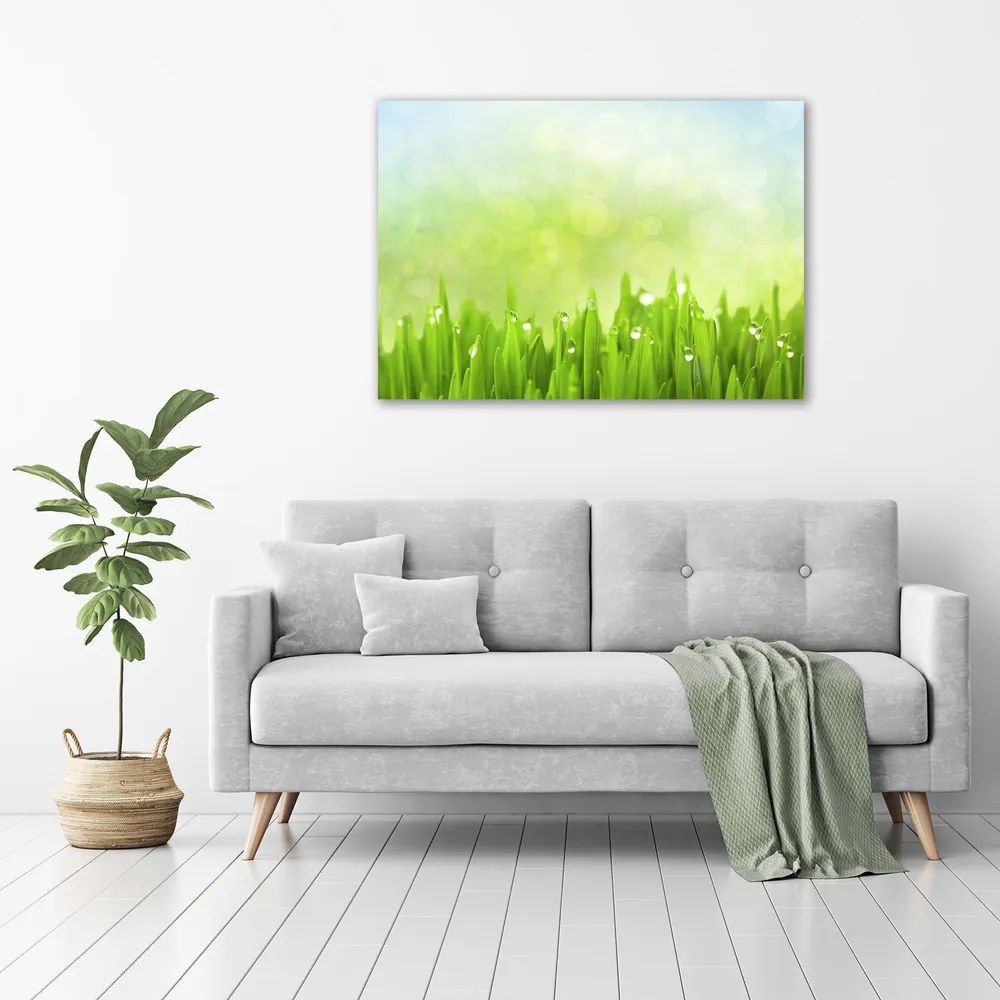 Tablou pe pânză canvas Iarbă