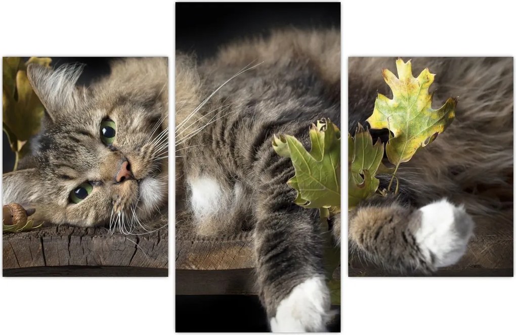 Tablou - Pisica mincinoasă (90x60 cm)