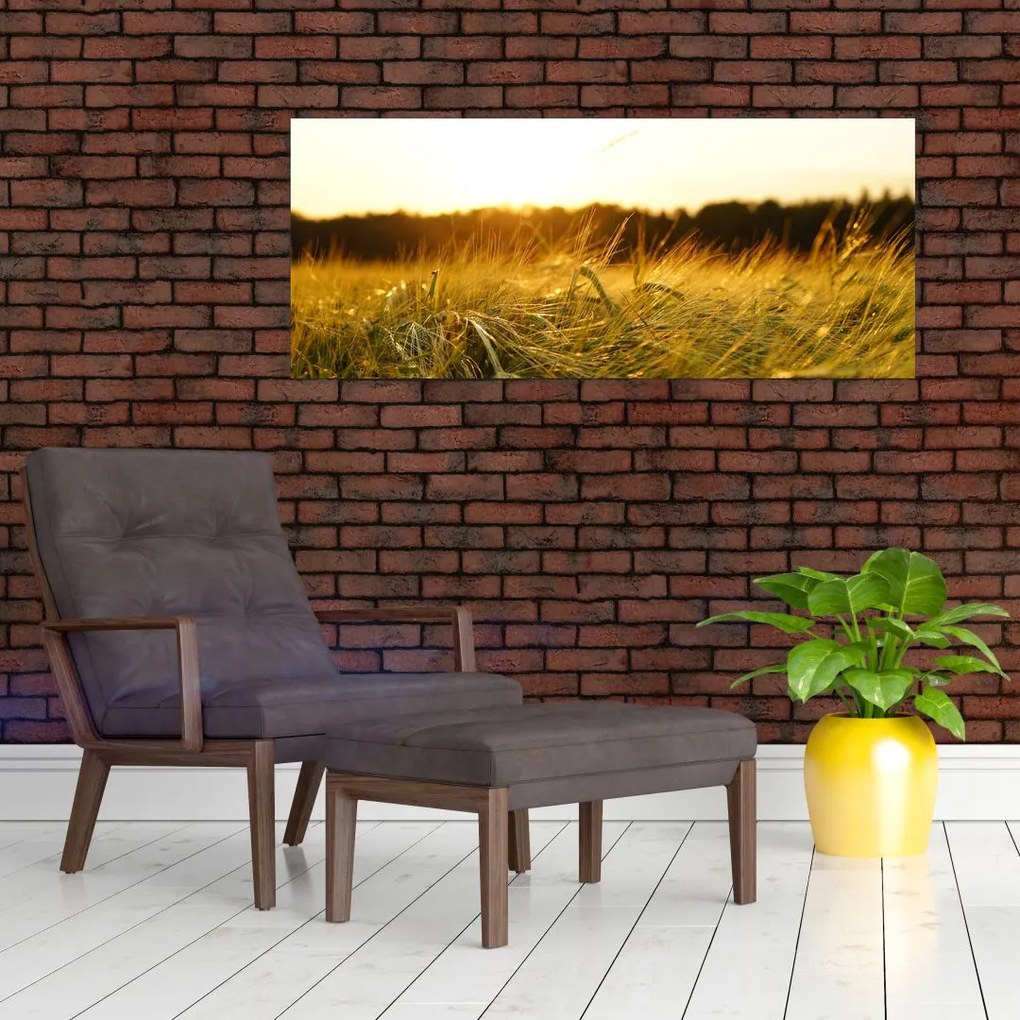 Tablou iarba cu rouă (120x50 cm)