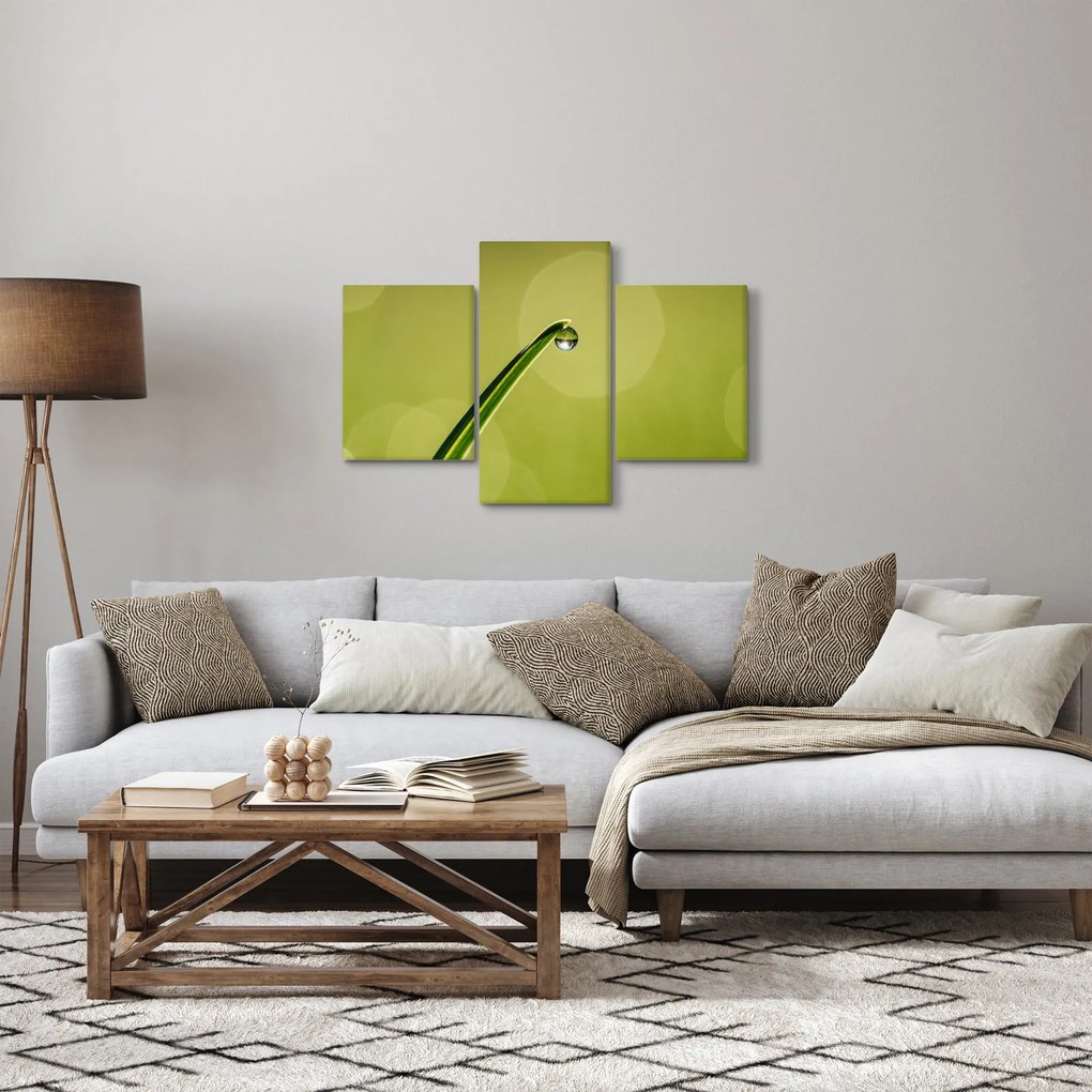 Tablou cu picătură de apă pe iarbă (90x60 cm)