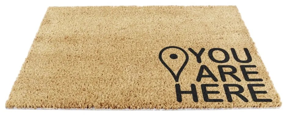 Covoraș de intrare din fibre de nucă de cocos 40x60 cm You Are Here – Artsy Doormats