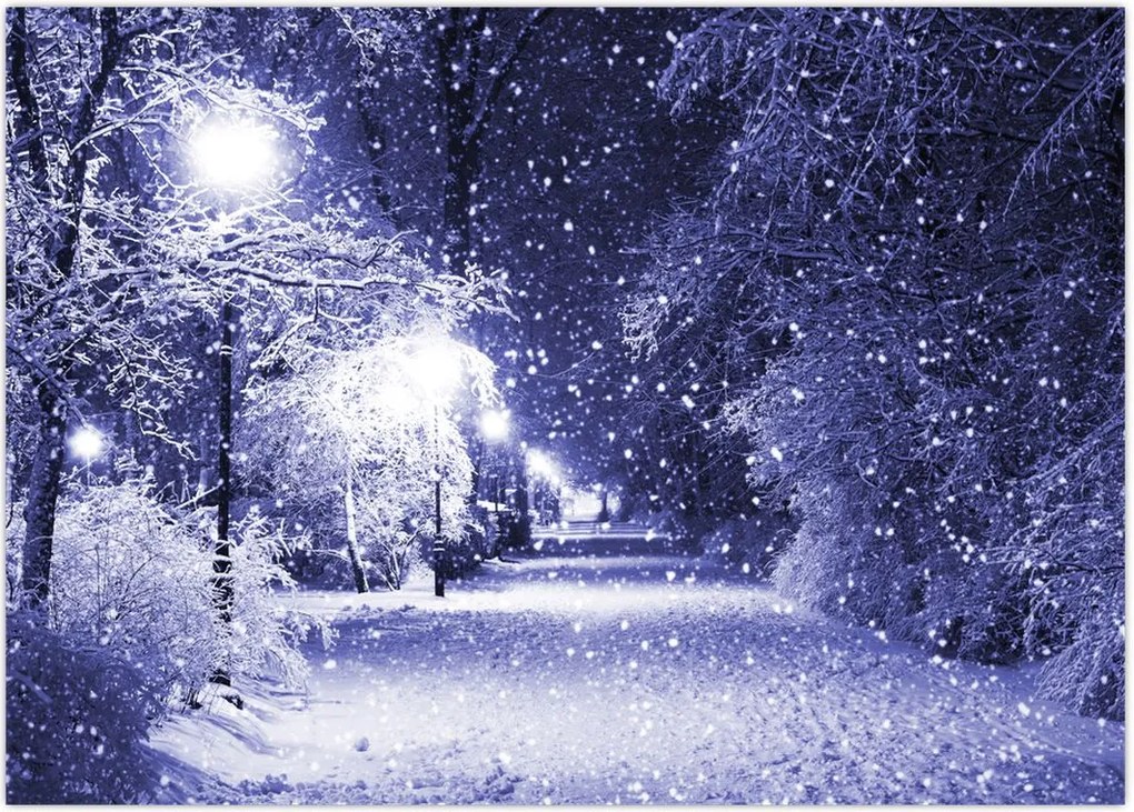 Tablou - Noaptea magică de iarnă (70x50 cm)