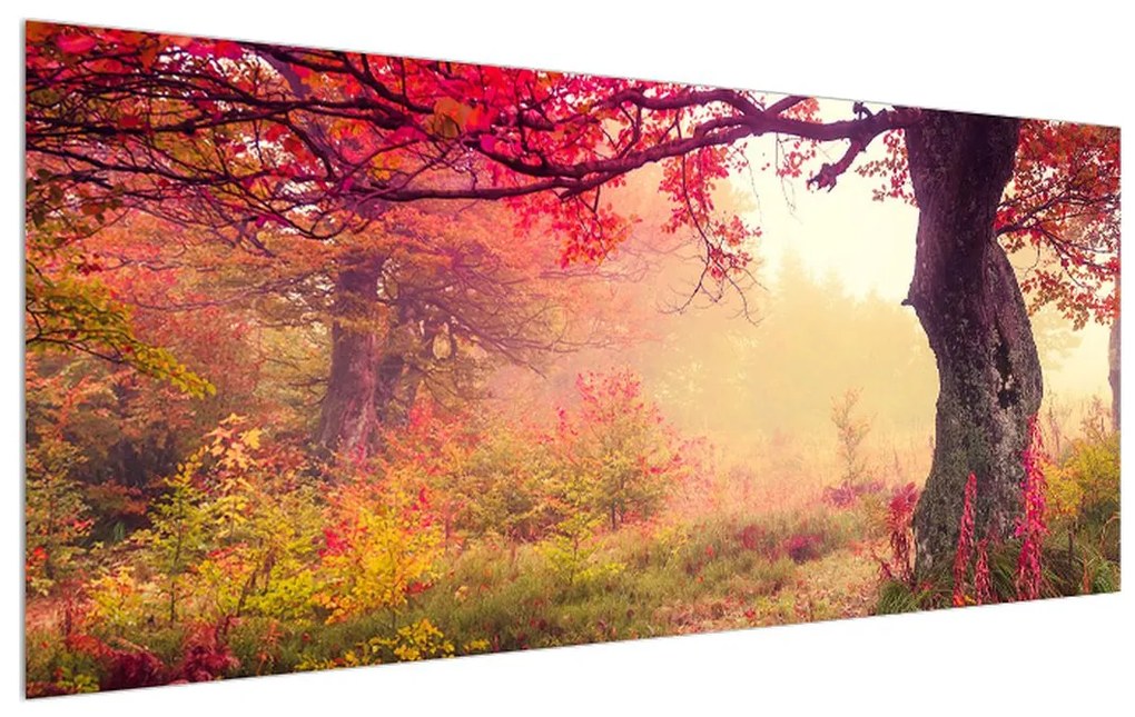 Tablou cu peisaj de pădure toamna (120x50 cm), în 40 de alte dimensiuni noi
