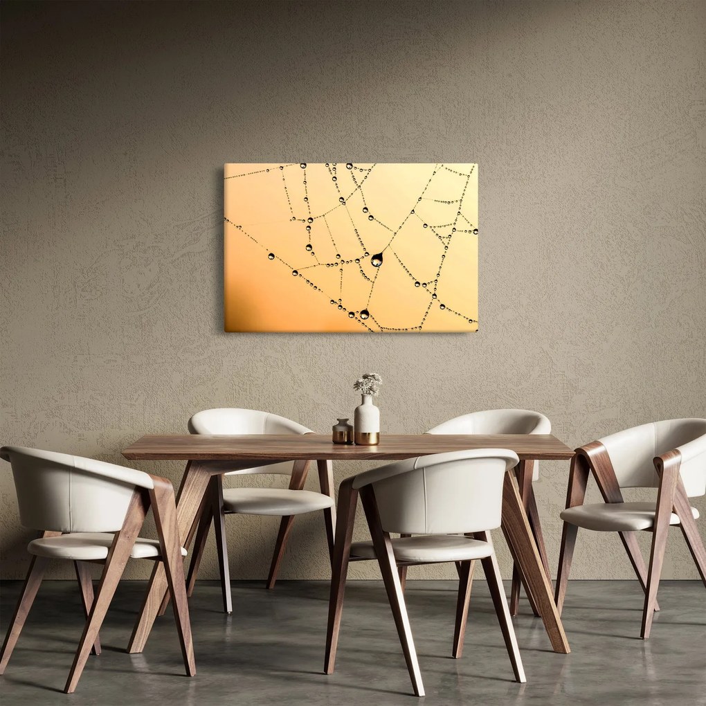 Tablou cu pânză de pâianjen cu rouă (90x60 cm)