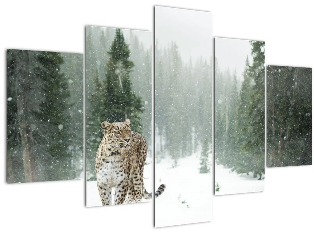 Tablou cu leopard în zăpadă (150x105 cm)