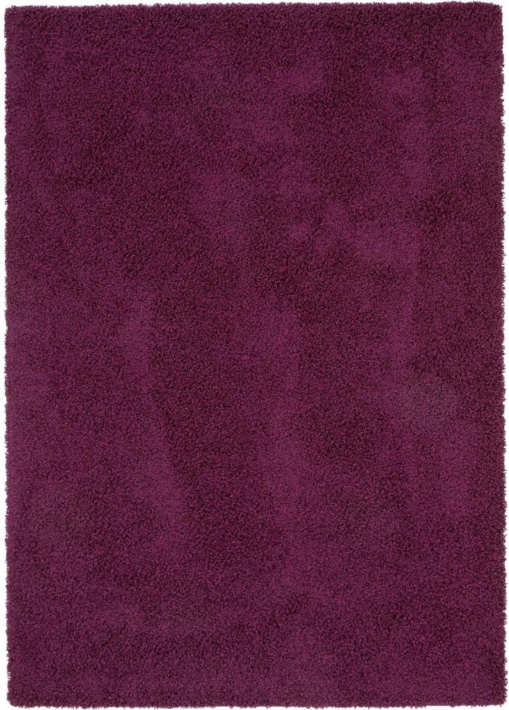 Covor Shaggy Swirls Violet - 160x230 cm