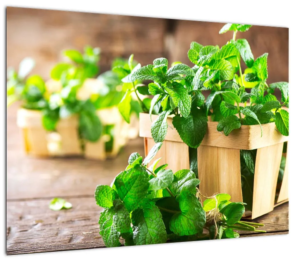 Tablou cu menta proaspătă (70x50 cm)
