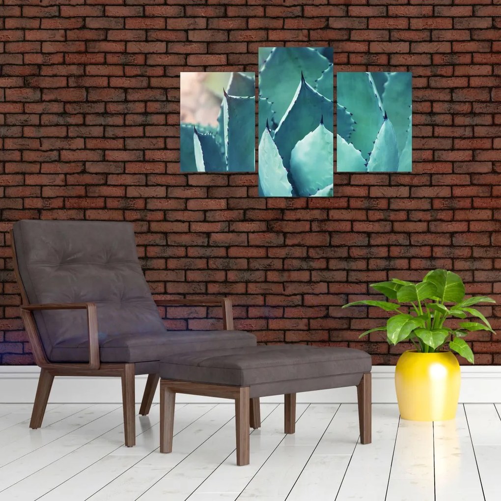 Tablou - Suculent (90x60 cm)