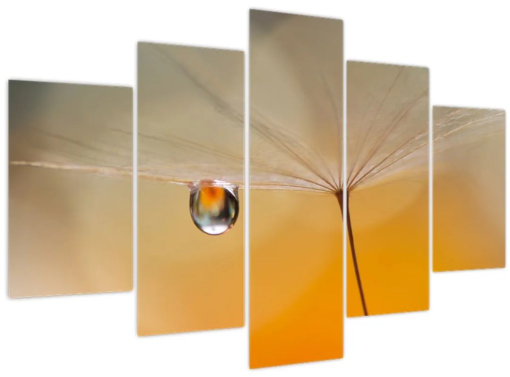 Tablou - Flori macro (150x105 cm)