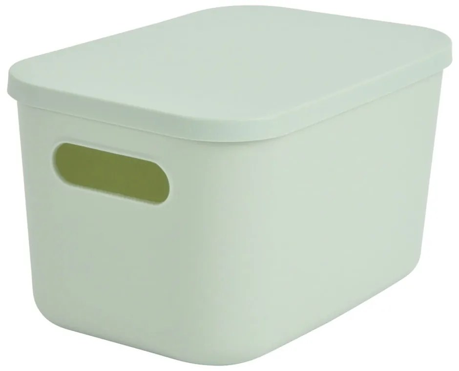 Cutie de depozitare verde-deschis din plastic cu capac 24,5x18x15 cm – Homéa