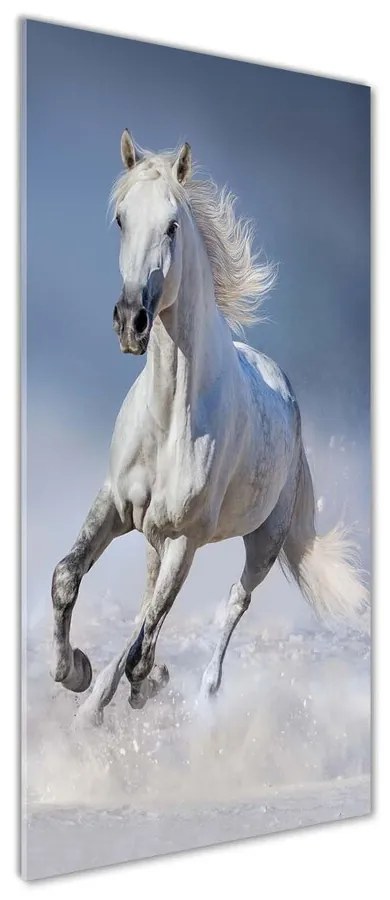 Tablou pe sticlă acrilică Cal alb în galop