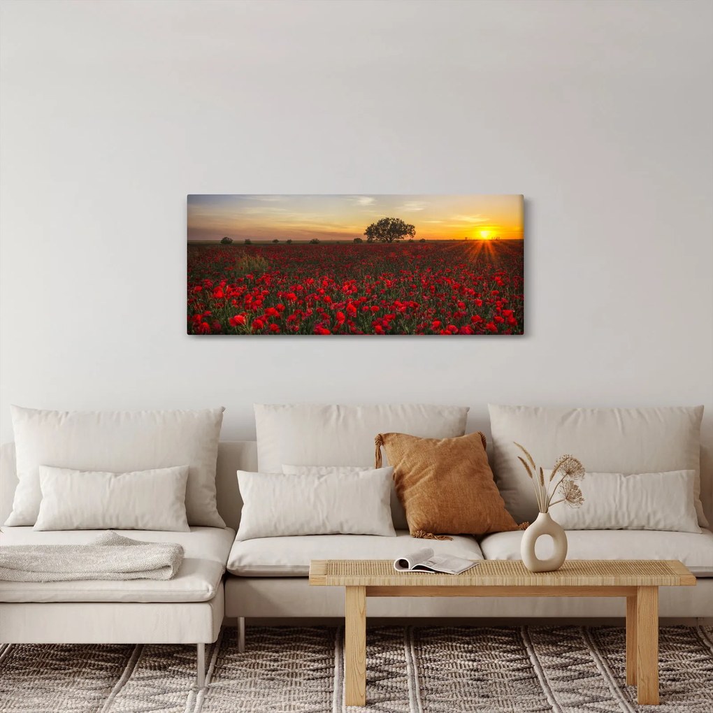 Tablou cu lunca și macii (120x50 cm)
