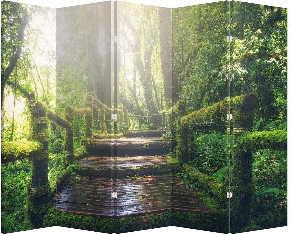 Paravan - Trepte din lemn în pădure (210x170 cm)