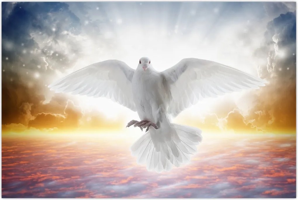 Tablou porumbiță (90x60 cm)