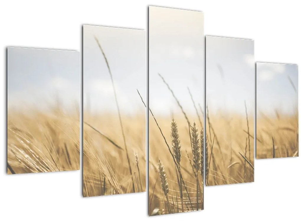 Tablou cu grâne (150x105 cm)