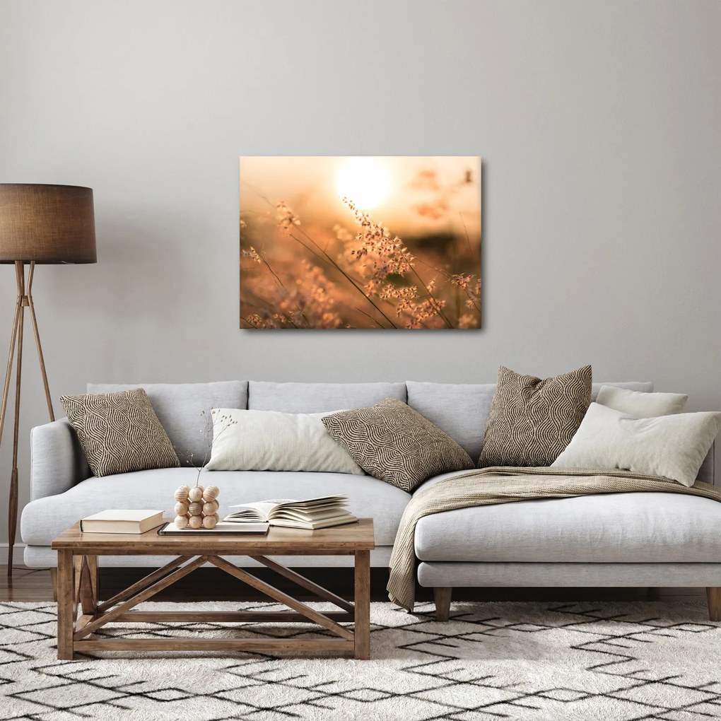 Tablou - Iarbă la soare (70x50 cm)