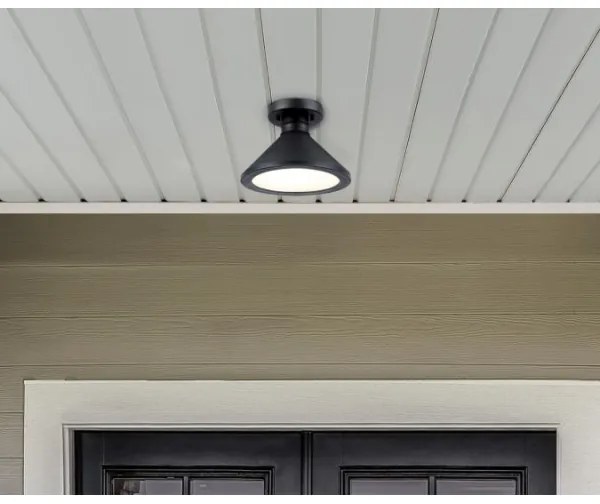 Plafonieră de exterior Westinghouse 61238 WALTER 1xE27/60W/230V IP44