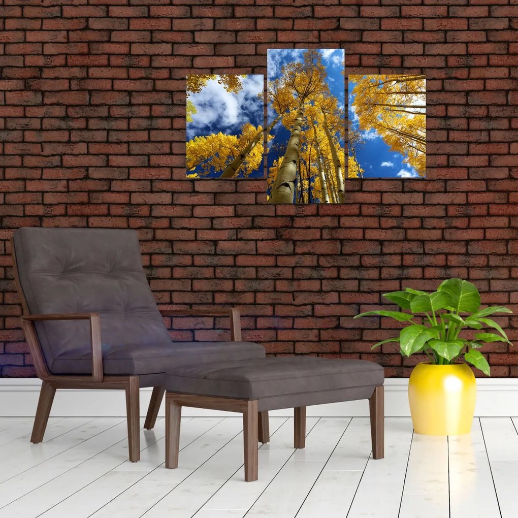 Tablou - Aspen (90x60 cm)