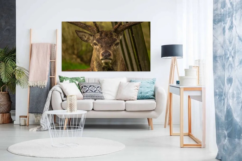Tablou canvas cap de cerb - 80x50cm