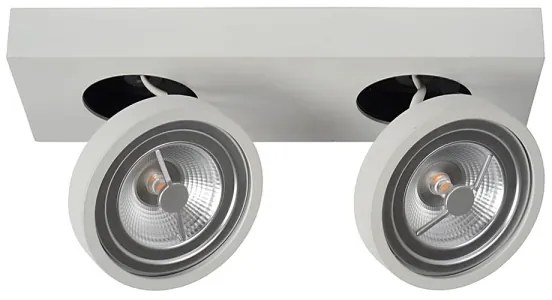 Lucide 09920/20/31 - LED Lampă spot dimmabilă NENAD AR111 G53/2x10W/18V