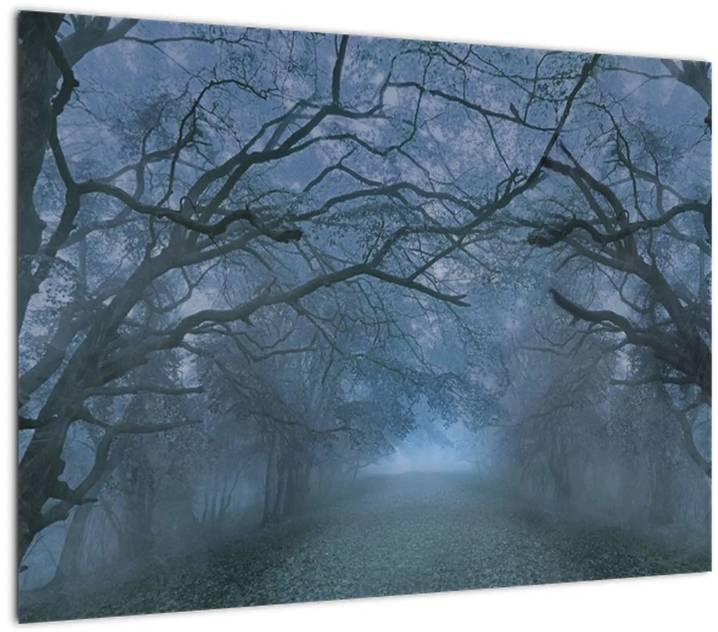 Tablou - Pădurea în ceață (70x50 cm)