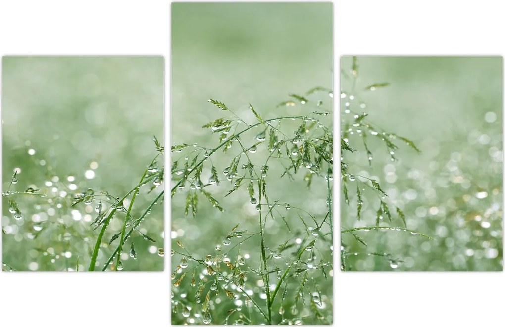 Tablou - Trandafir în iarbâ (90x60 cm)