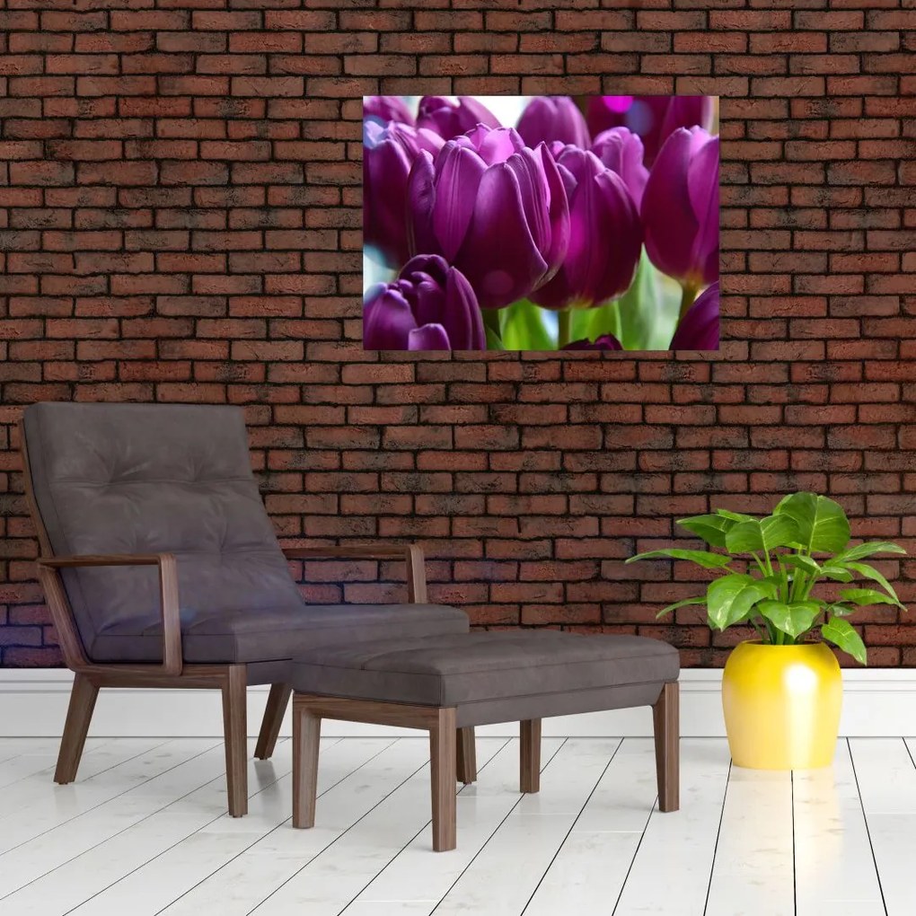 Tablou cu lalele (70x50 cm)